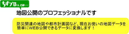 地図公開のプロフェッショナル