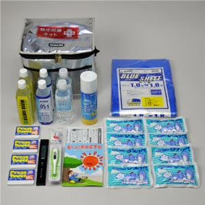 ハイビスカス 熱中対策キット＋（プラス）